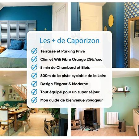 فيلا Caporizon-Le Coffre Fort-Le Clos De Chambord Saint-Claude-de-Diray المظهر الخارجي الصورة